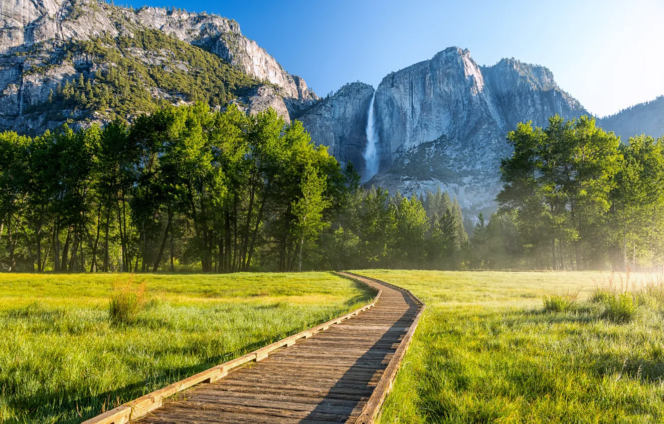 Фото обои лес, деревья, горы, водопад, Калифорния, дорожка, США, Yosemite National Park
