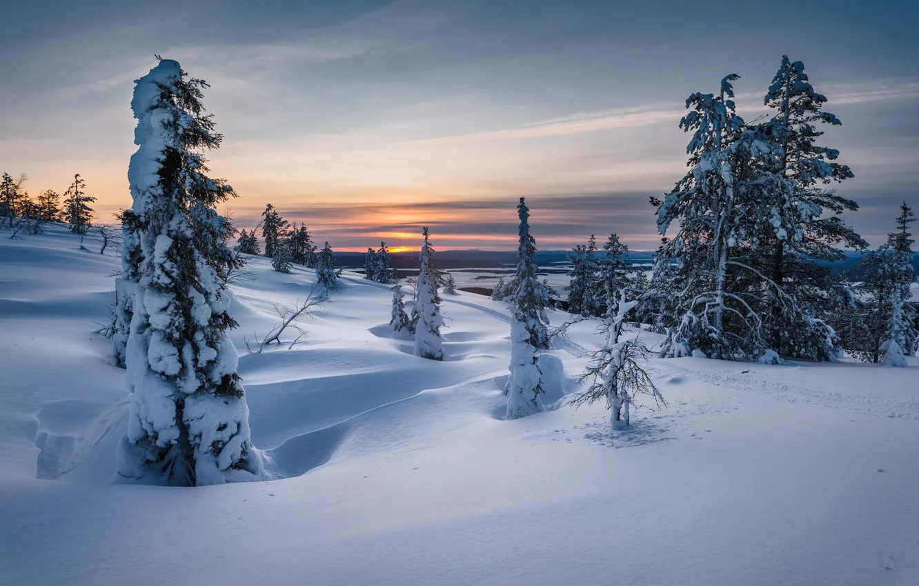 Фото обои зима, снег, деревья, закат, сугробы, Россия, Мурманская область, Волосяная сопка