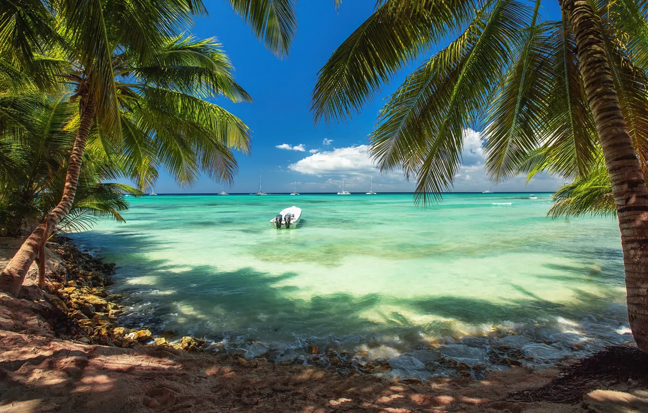 Фото обои песок, море, пляж, небо, синева, пальмы, берег, лодка