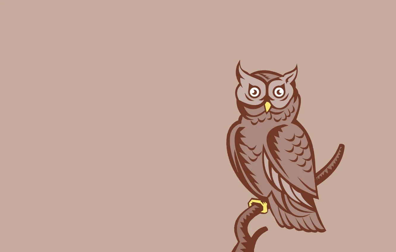 Фото обои сова, птица, минимализм, ветка, светлый фон, owl