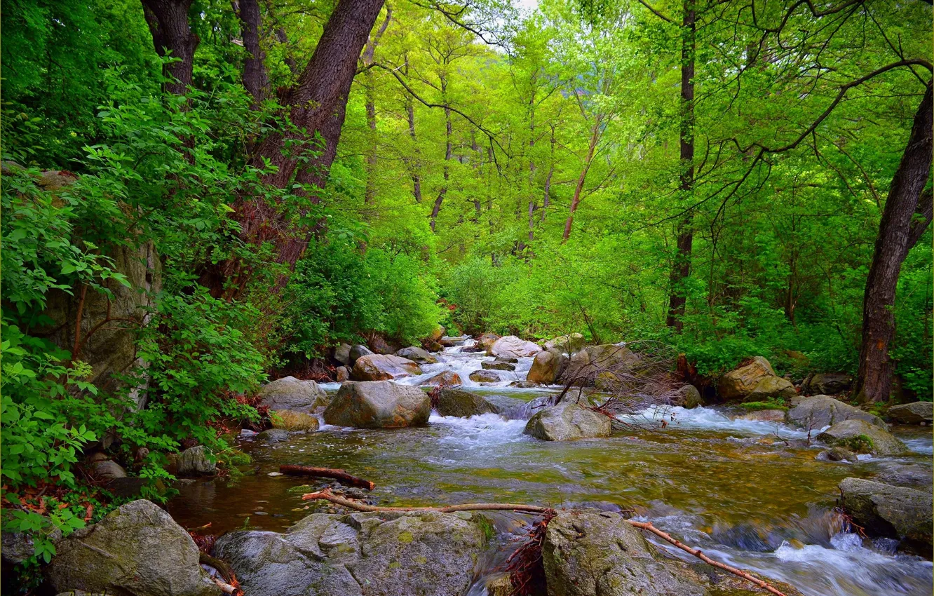 Фото обои Поток, Весна, Лес, Камни, Речка, Spring, River, Forest