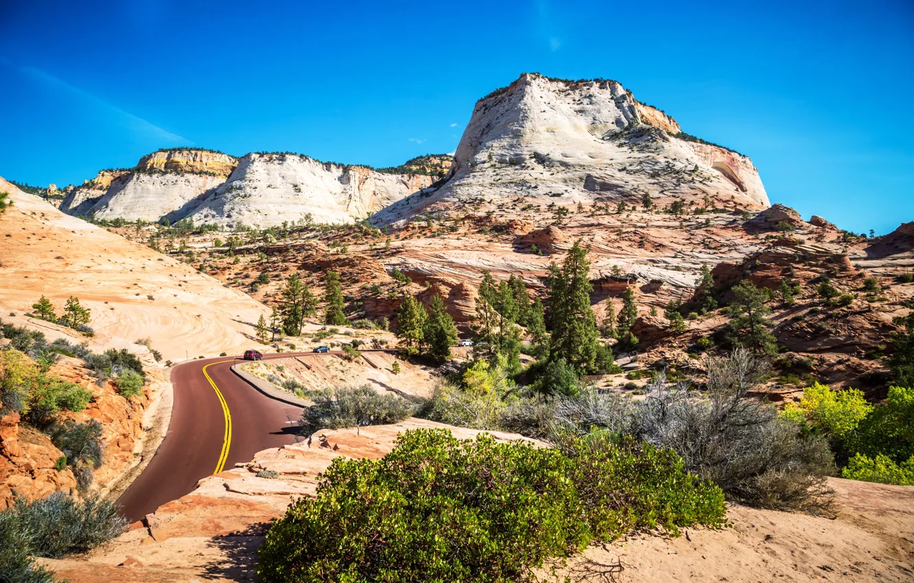 Фото обои дорога, Юта, США, Zion National Park