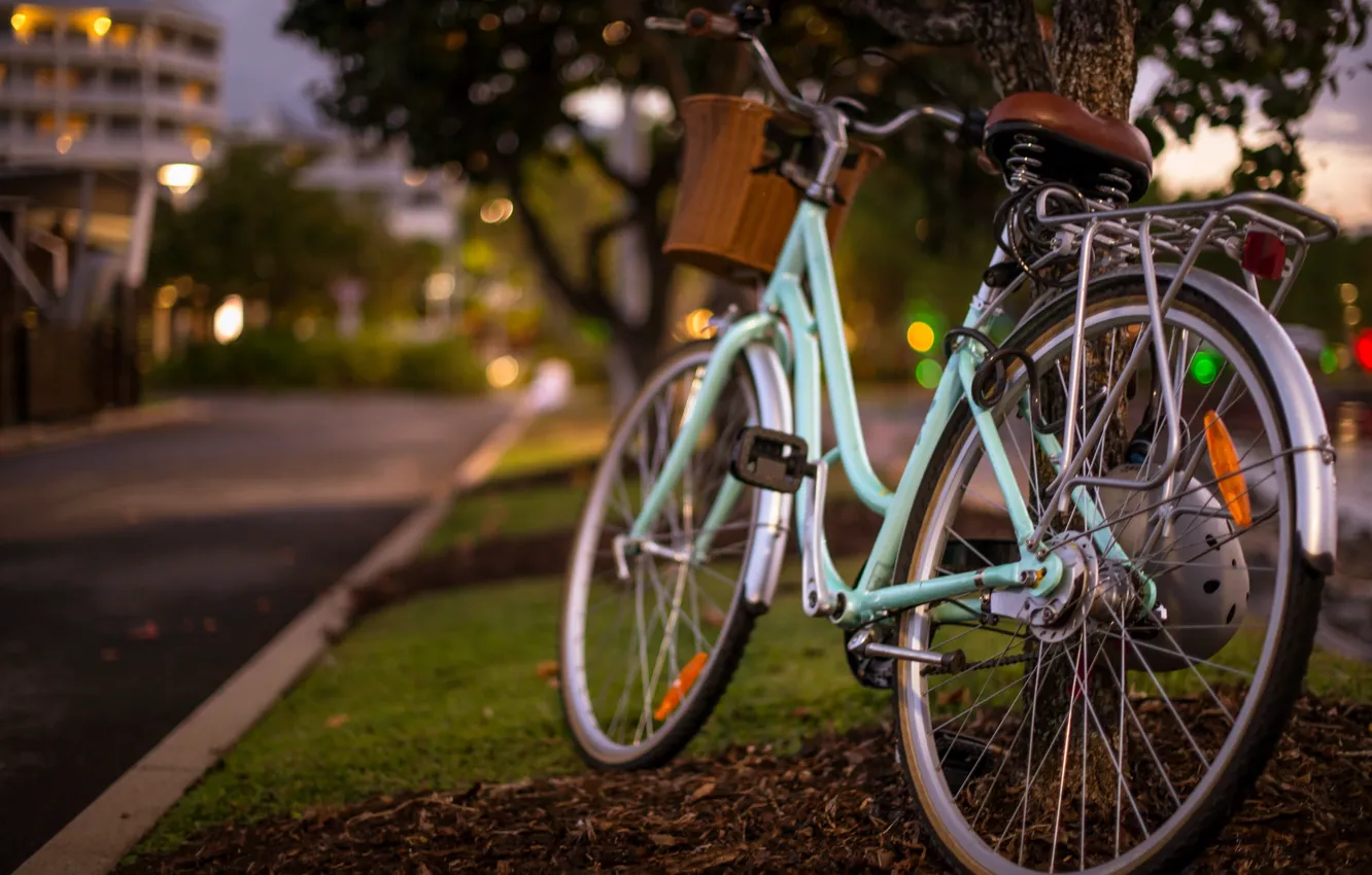 Фото обои Bike, Bokeh, Bicycle Love