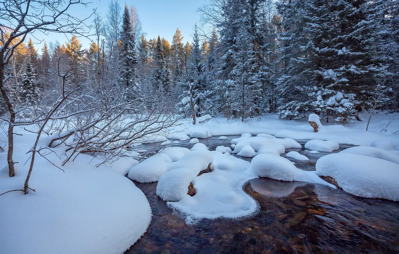 Фото обои зима, лес, снег, деревья, река, Евдокимов Сергей