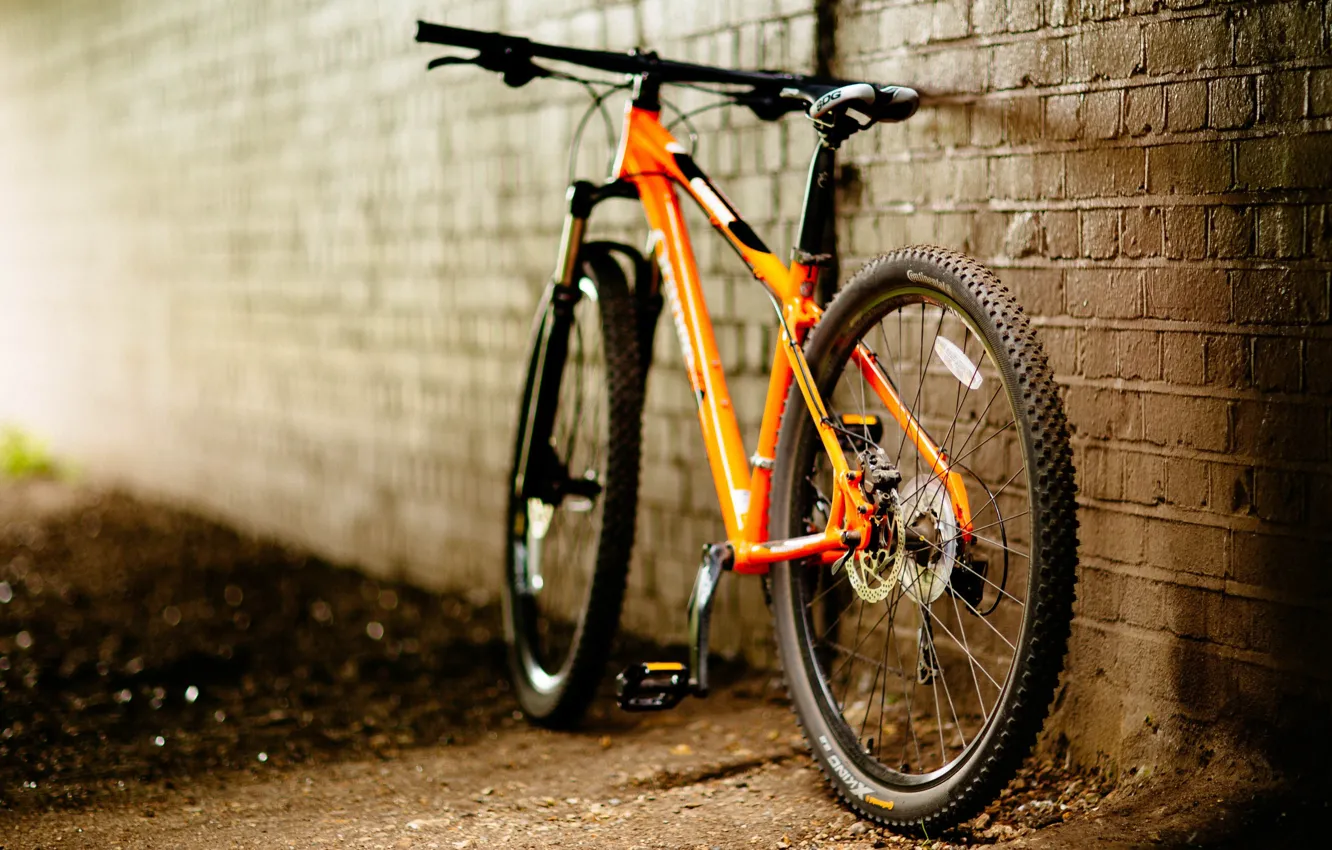 Фото обои велосипед, город, стена, улица, bike
