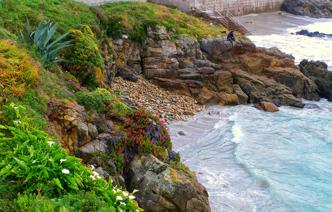 Фото обои море, цветы, камни, берег, растения, рыбак, испания, кусты