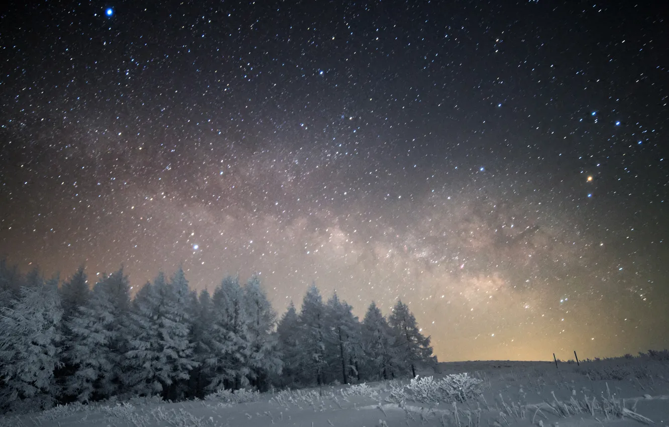 Фото обои космос, звезды, снег, деревья, ночь, пространство, млечный путь