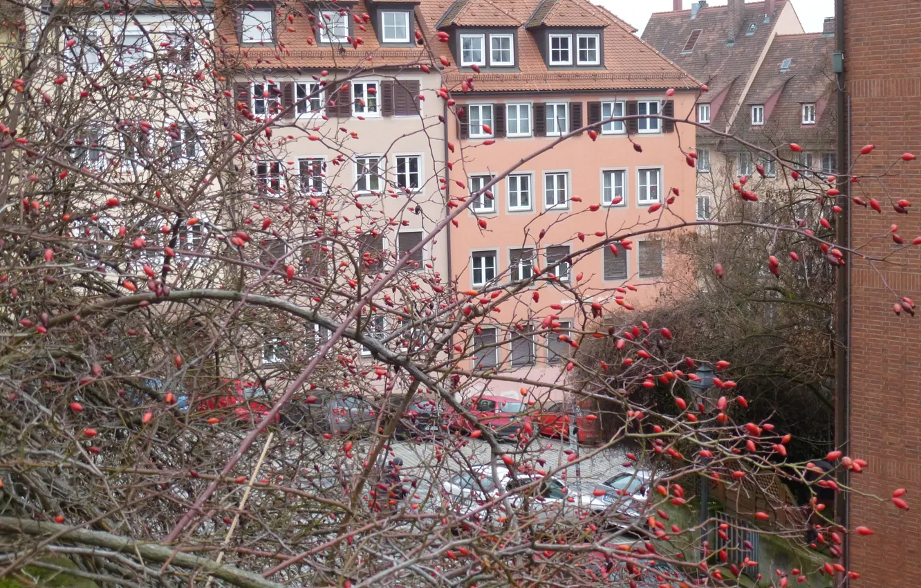 Фото обои зима, город, house, Нюрнберг, tees