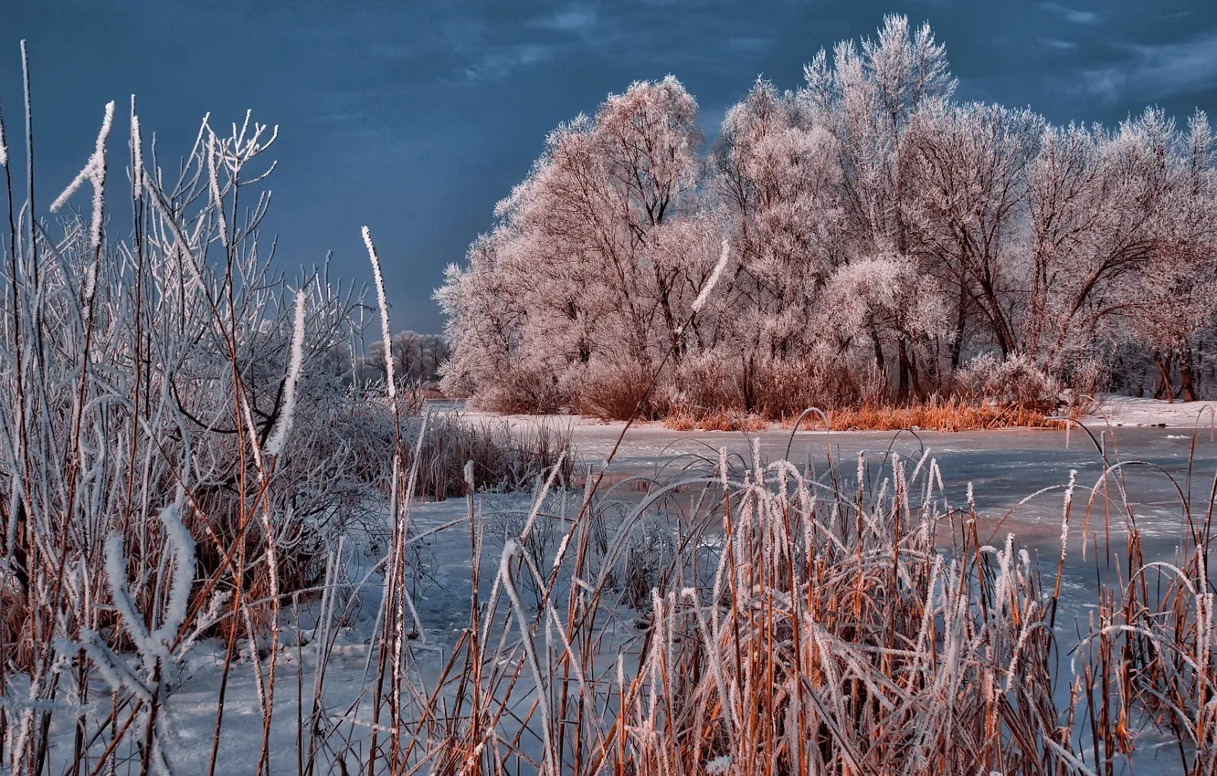 Фото обои зима, природа, озеро