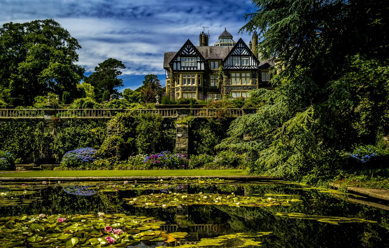 Фото обои зелень, вода, деревья, дом, пруд, сад, Великобритания, кусты