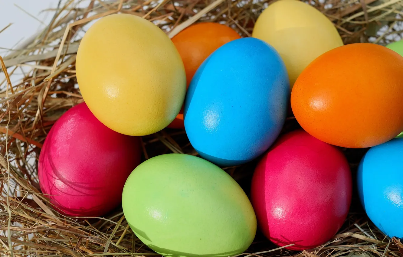 Фото обои яйца, Пасха, сено, разноцветный, крашенки