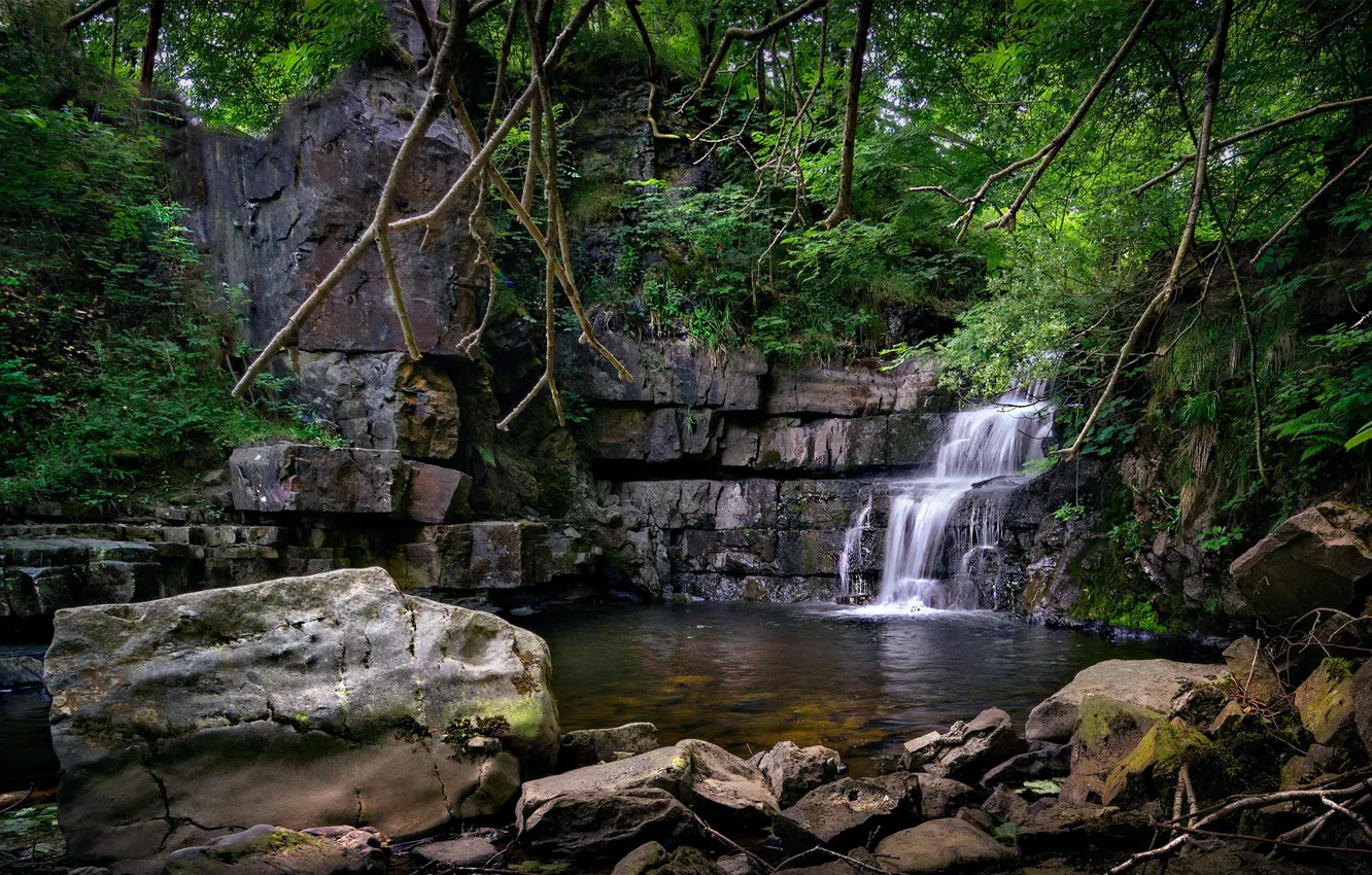 Фото обои лес, камни, водопад