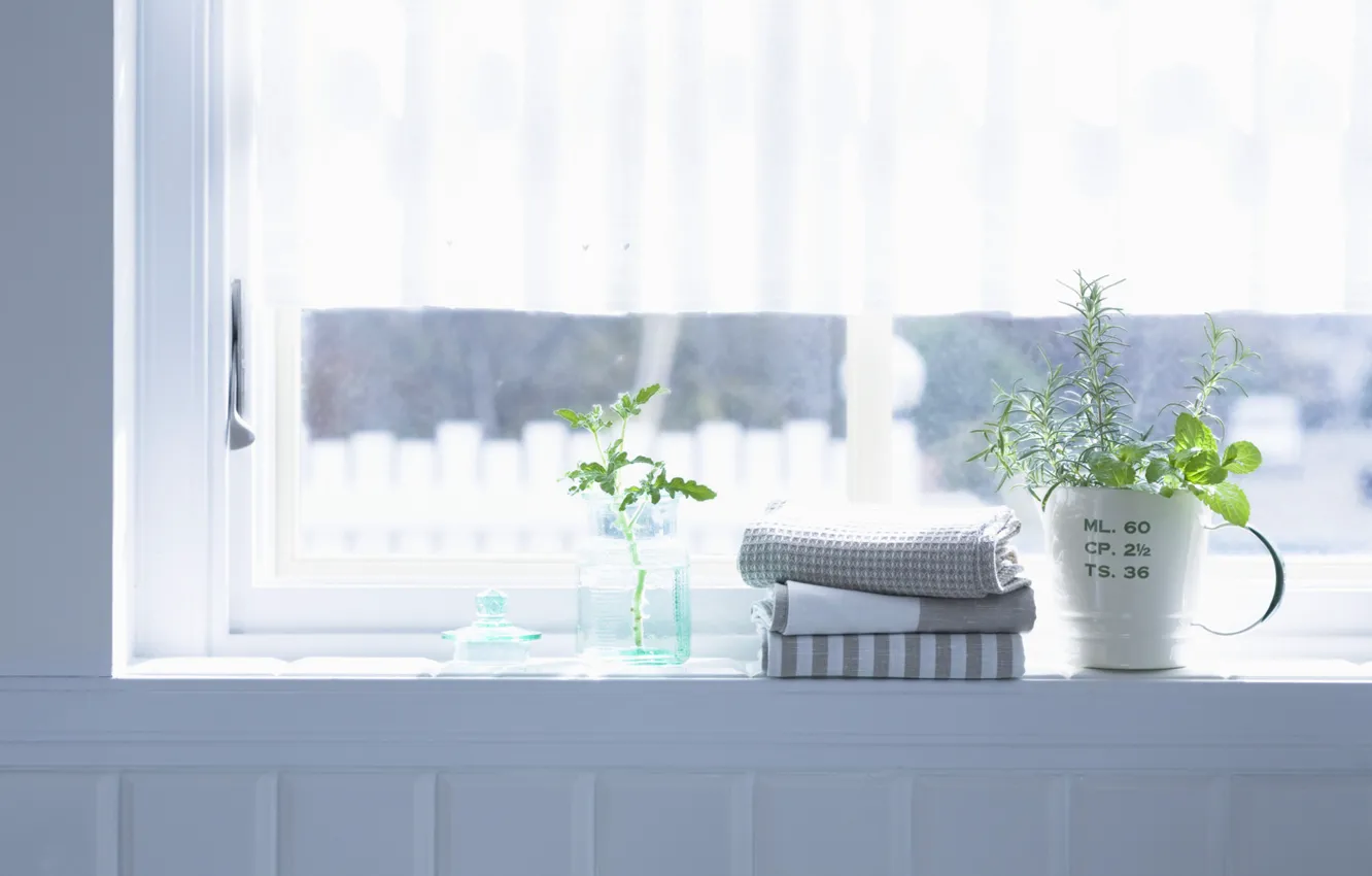 Фото обои цветы, комната, интерьер, полотенце, растения, окно, квартира