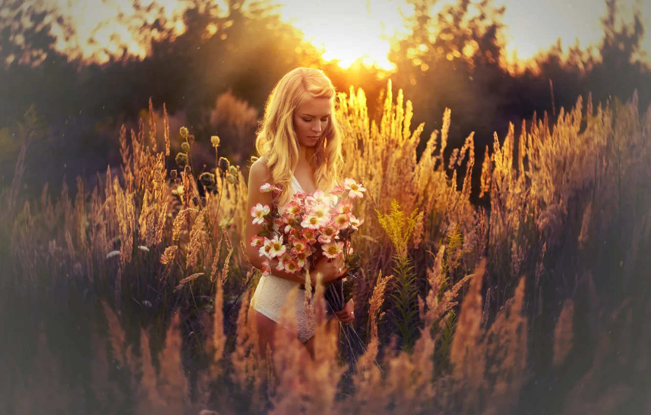 Фото обои девушка, солнце, цветы, природа, поза, букет, красивая, Melanie Dietze
