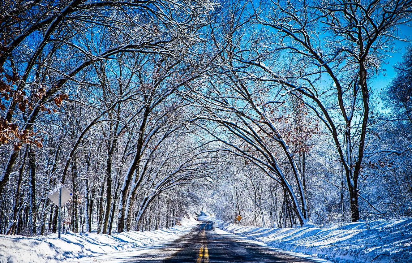 Фото обои зима, дорога, небо, снег, деревья, тунель