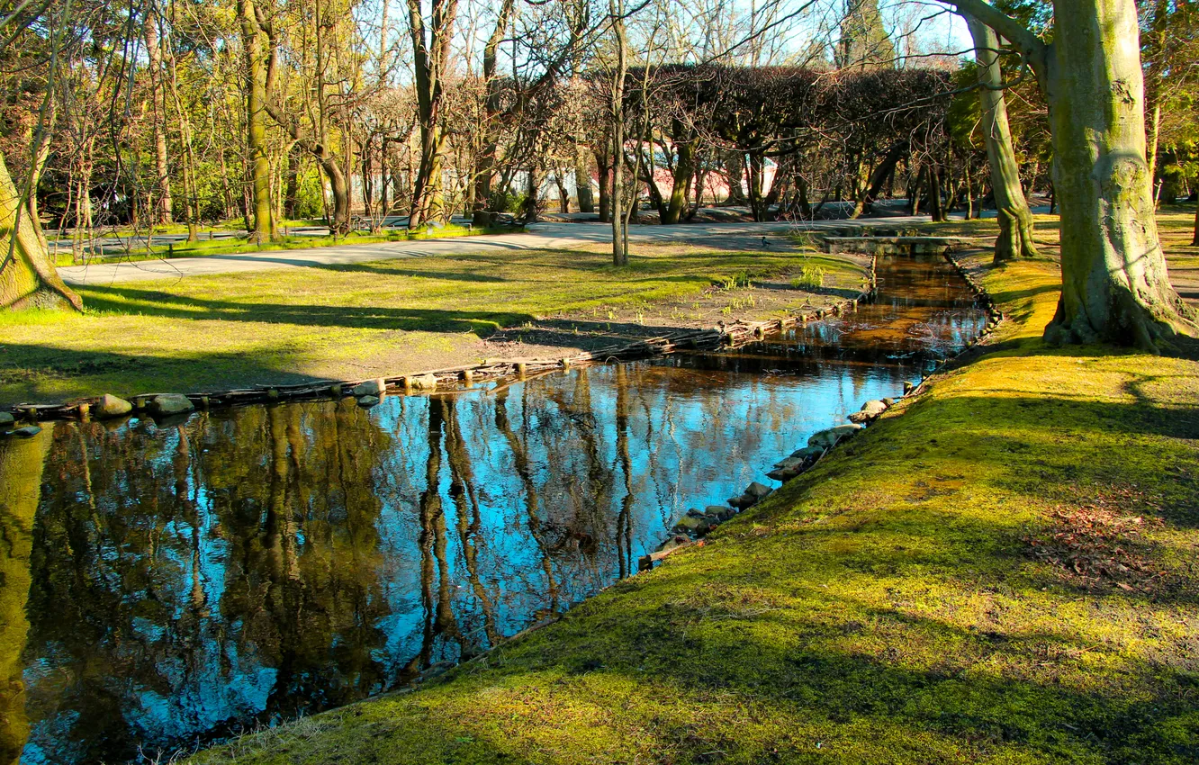 Фото обои water, park, pond