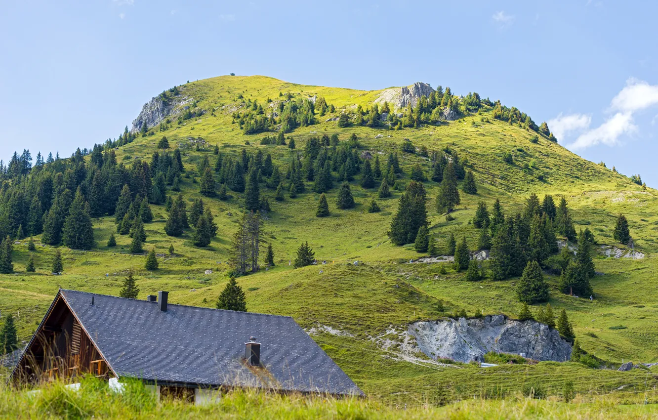 Фото обои трава, деревья, дом, гора, Швейцария, склон, Davos, Jakobshorn