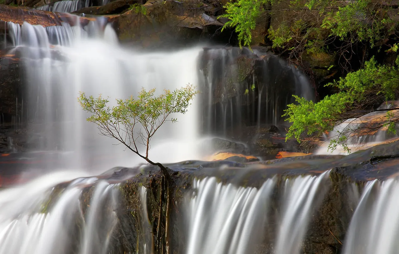 Фото обои водопад, Австралия, Новый Южный Уэльс, Голубые горы, Вентворт