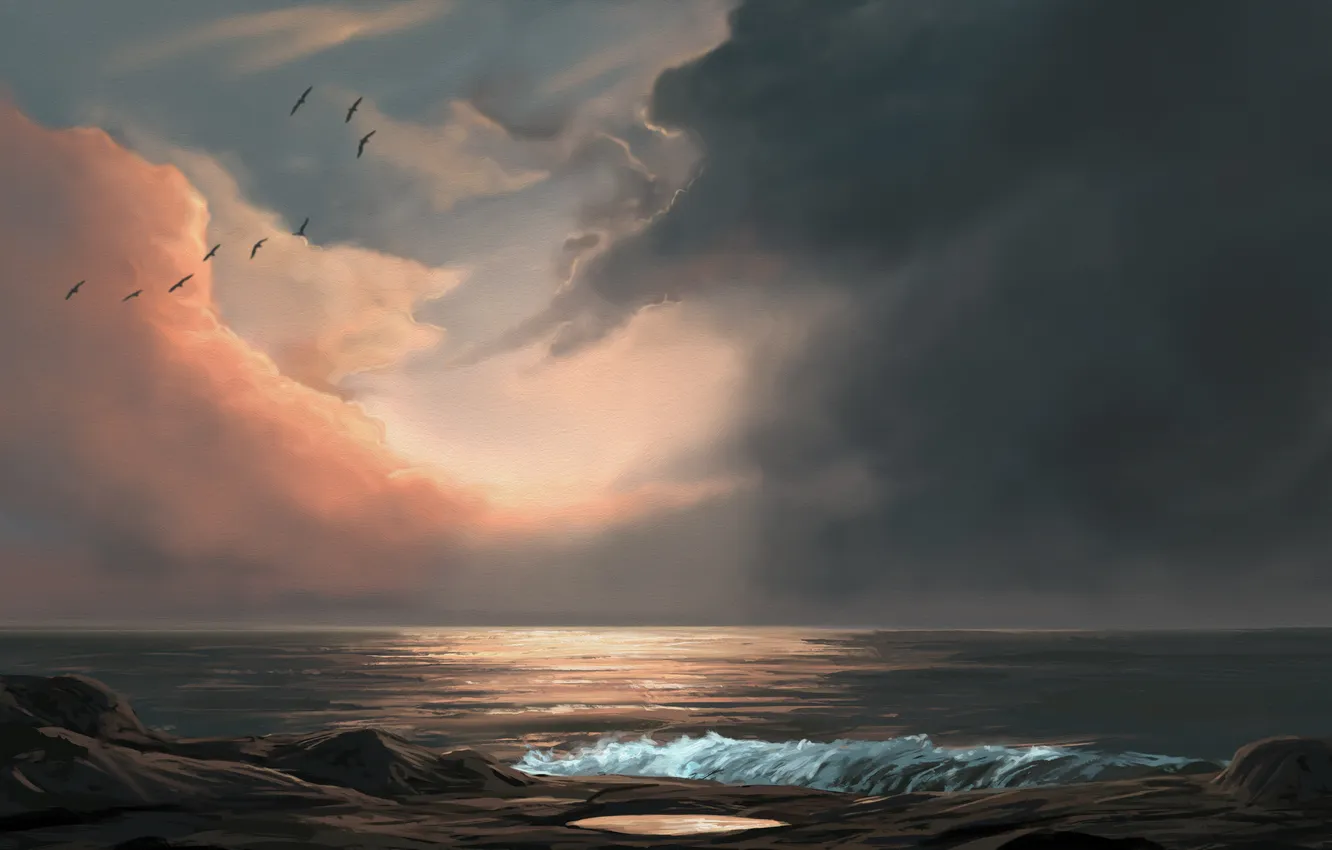 Фото обои море, волны, вода, облака, закат, птицы, берег, арт