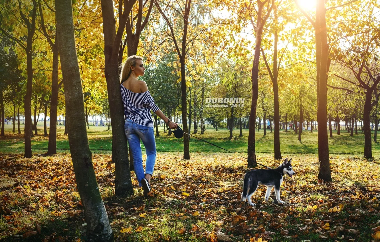 Фото обои осень, листья, девушка, солнце, деревья, парк, джинсы, майка