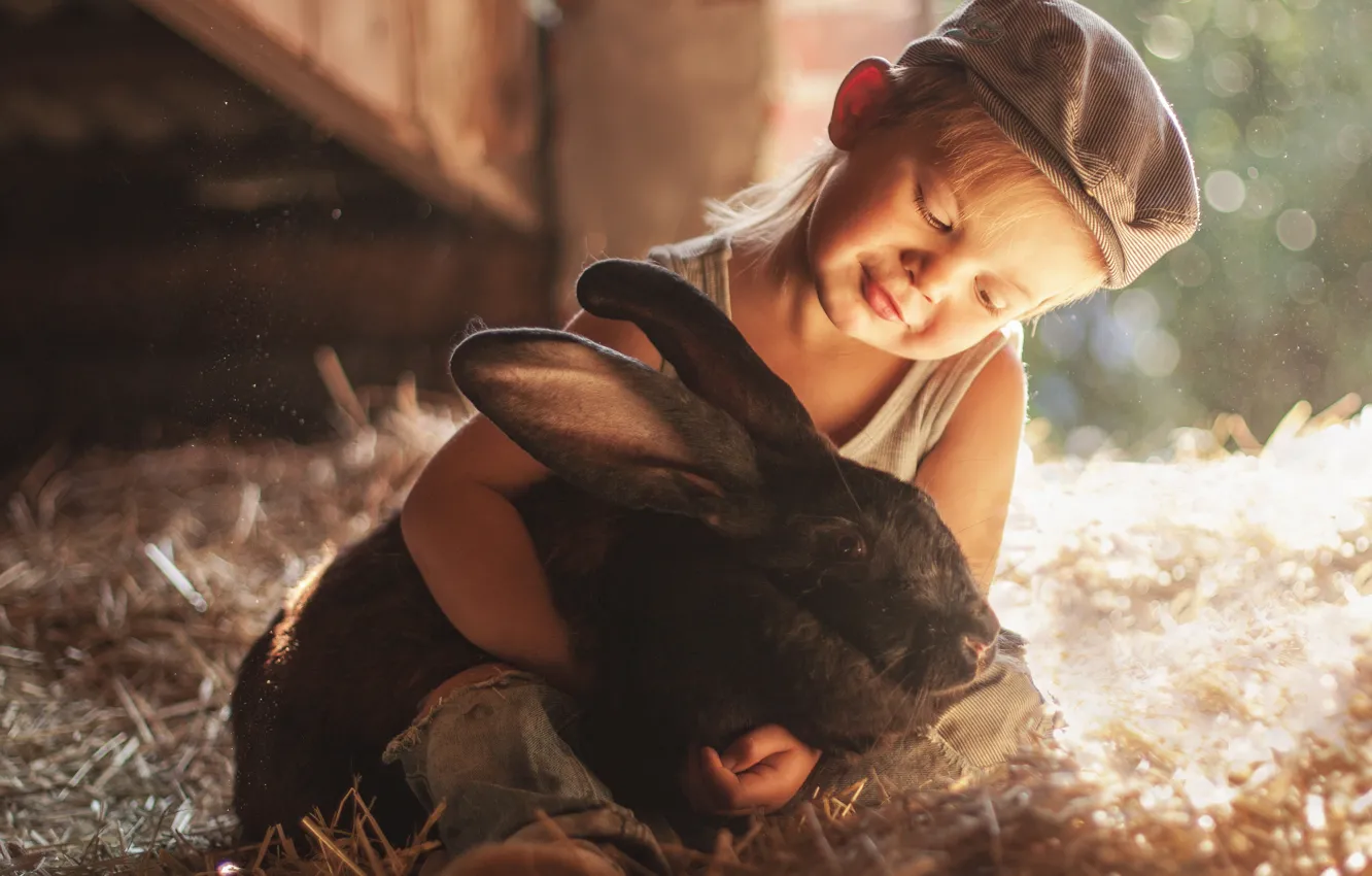 Фото обои мальчик, кролик, дружба, сено, кепка, друзья