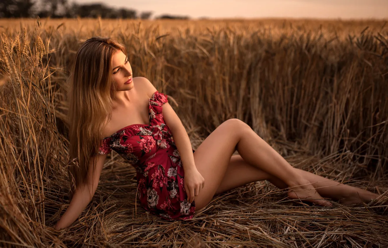 Фото обои пшеница, поле, солнце, поза, модель, портрет, макияж, фигура