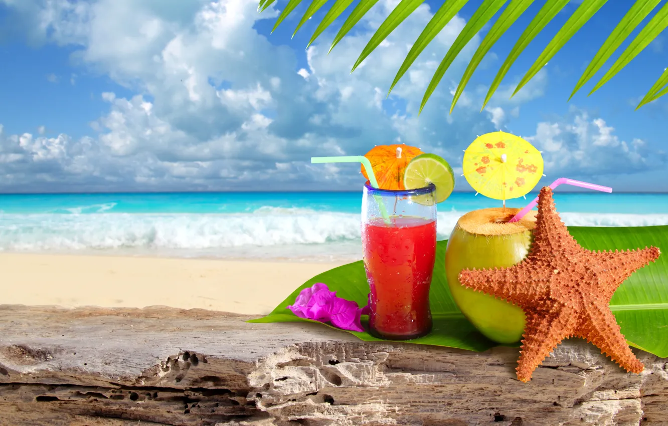 Фото обои море, пальма, ракушка, зонтики, листик, коктейли, ропики