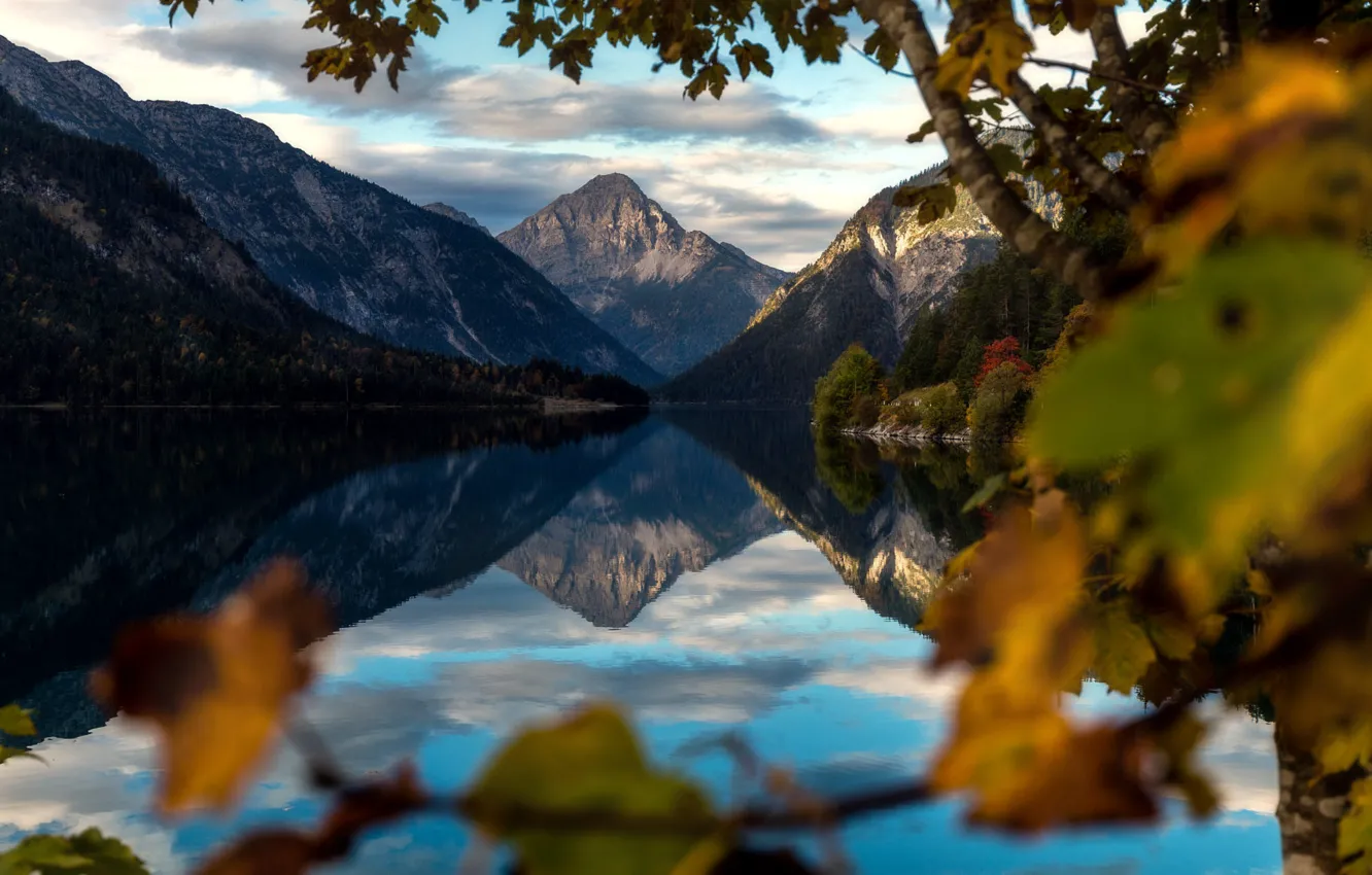 Фото обои пейзаж, горы, ветки, природа, озеро, отражение, дерево, Австрия