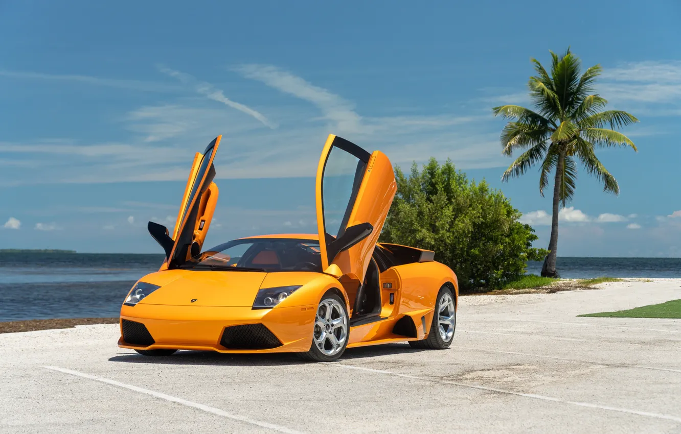 Фото обои оранжевый, Lamborghini, ламбо, Murcielago, Lamborghini Murcielago LP640