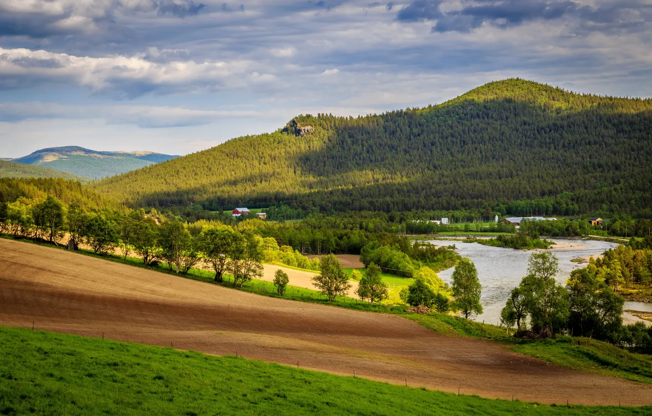 Фото обои деревья, горы, река, поля, Норвегия, домики, леса, луга
