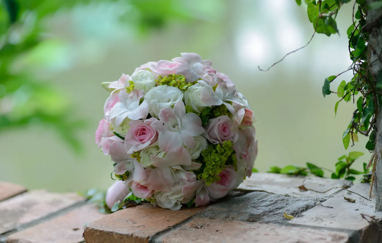 Фото обои Цветок, Свадебные Цветы, День Свадьбы, Цветок Невесты