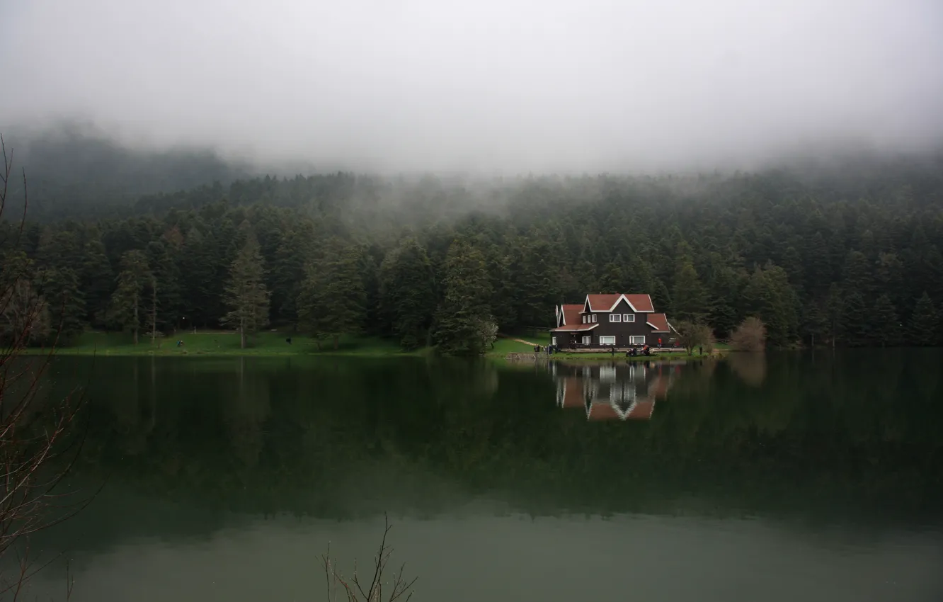 Фото обои лес, туман, озеро, Турция, Болу, Гельджюке