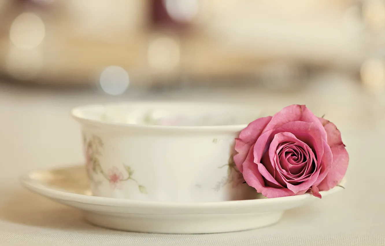 Фото обои роза, чашка, Elegance