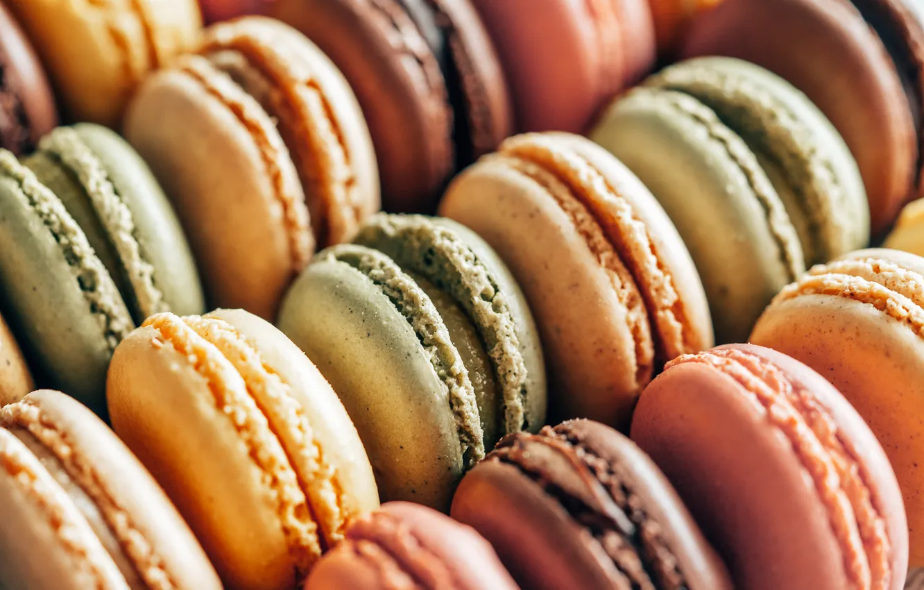 Фото обои colors, macarons, quantity