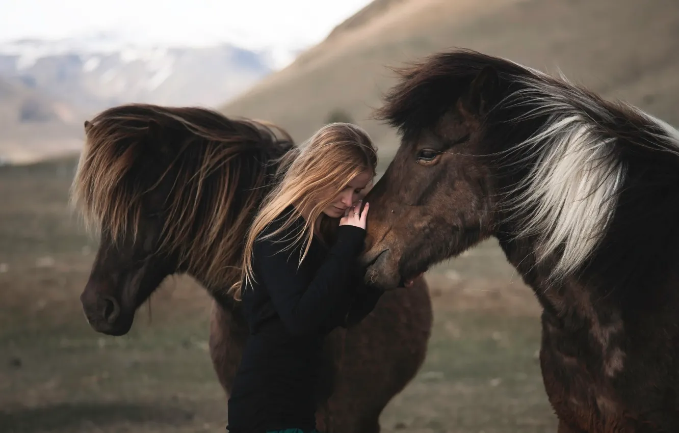 Фото обои девушка, ветер, лошади, Alessandra Barilla