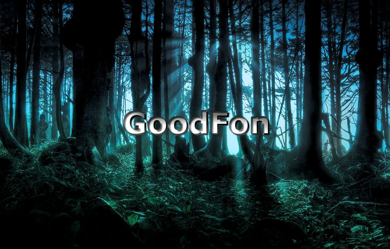 Фото обои forest, night, GoodFon
