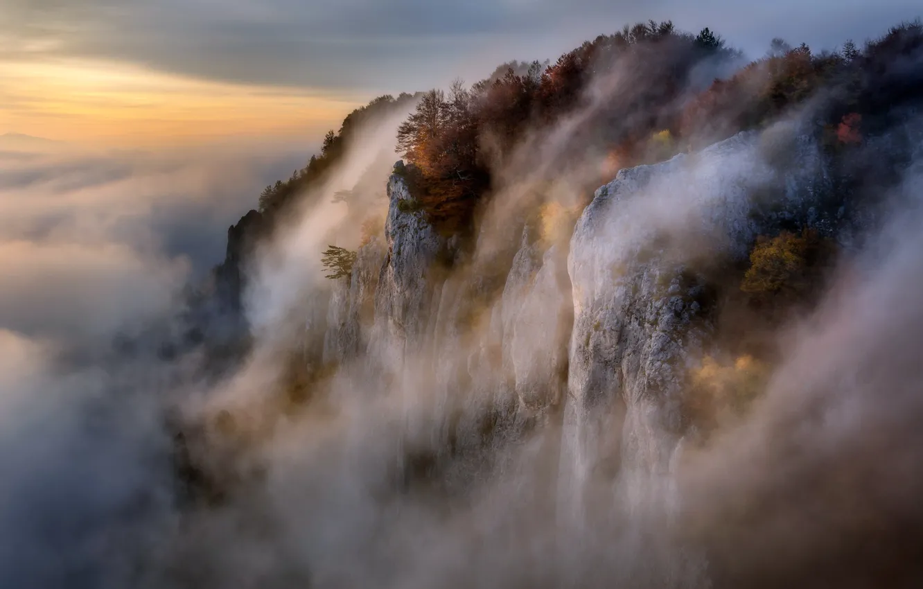 Фото обои природа, туман, гора