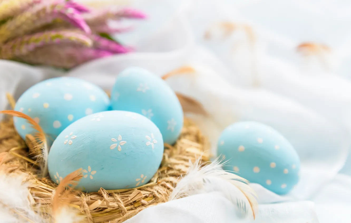 Фото обои цветы, яйца, Пасха, happy, blue, flowers, eggs, easter