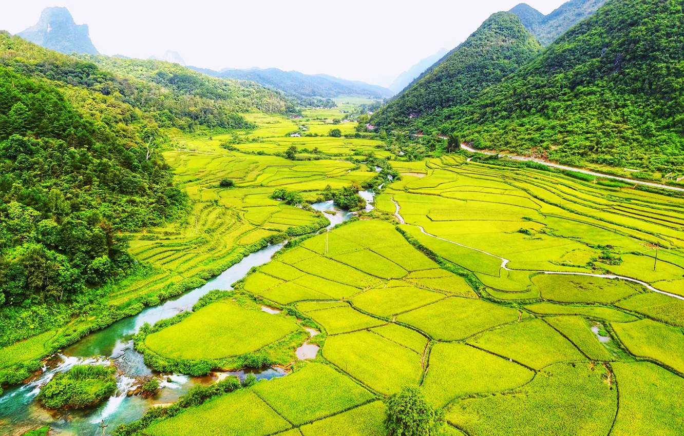 Фото обои дорога, зелень, лес, горы, река, поля, долина, Вьетнам