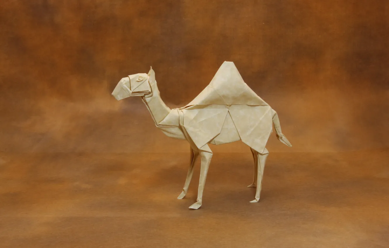 Фото обои бумага, оригами, Dromedary Camel