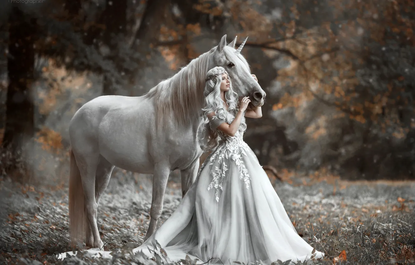 Фото обои осень, девушка, лошадь, платье, единорог, принцесса, Marketa Novak, Bára Marková