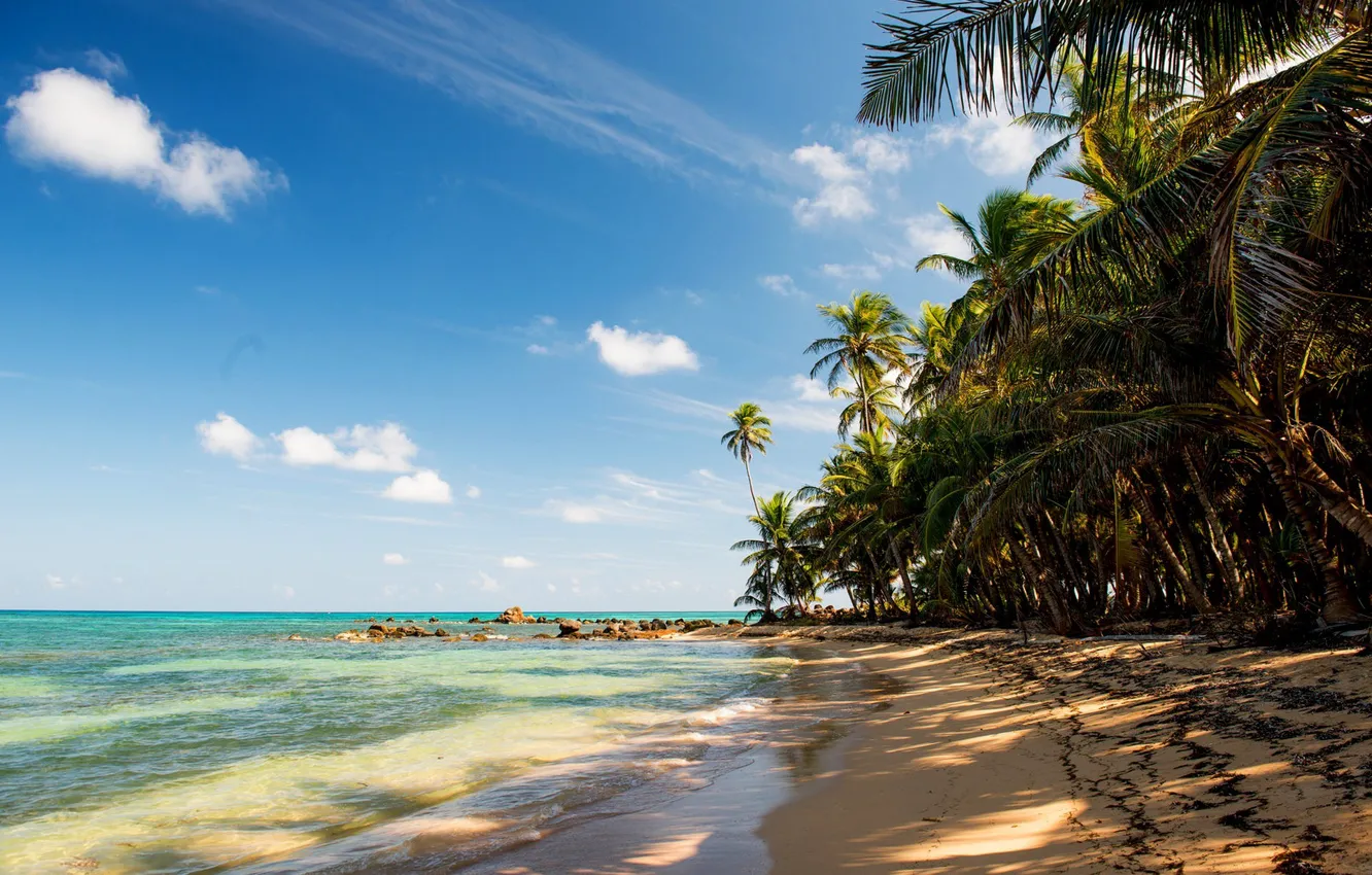 Фото обои песок, море, пляж, тропики, камни, пальмы