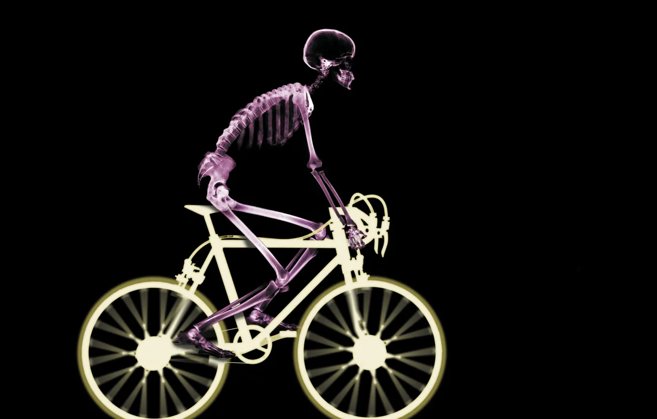 Фото обои велосипед, скелет, рентген