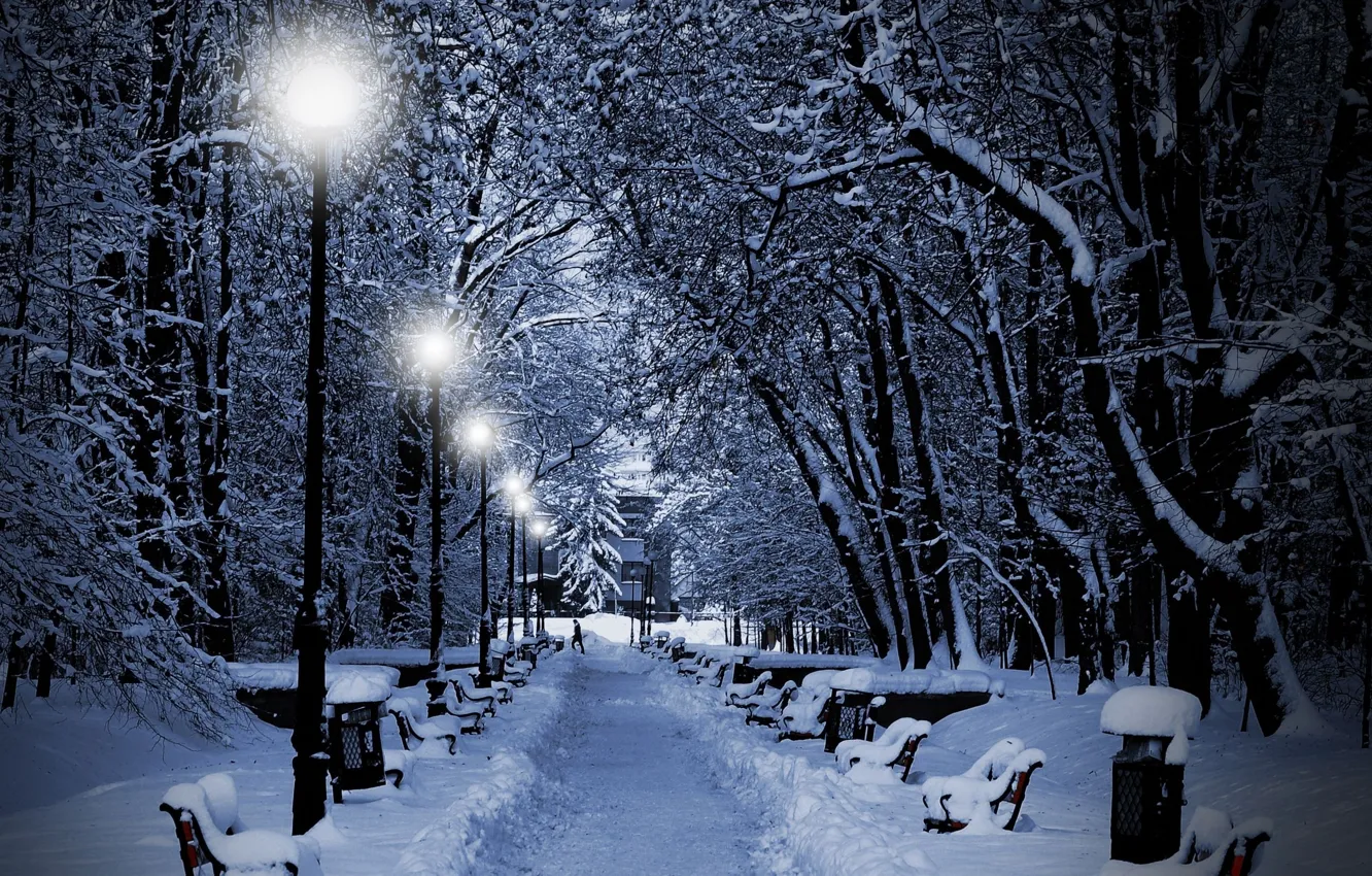 Фото обои зима, снег, деревья, огни, парк, вечер, фонари, лавочки