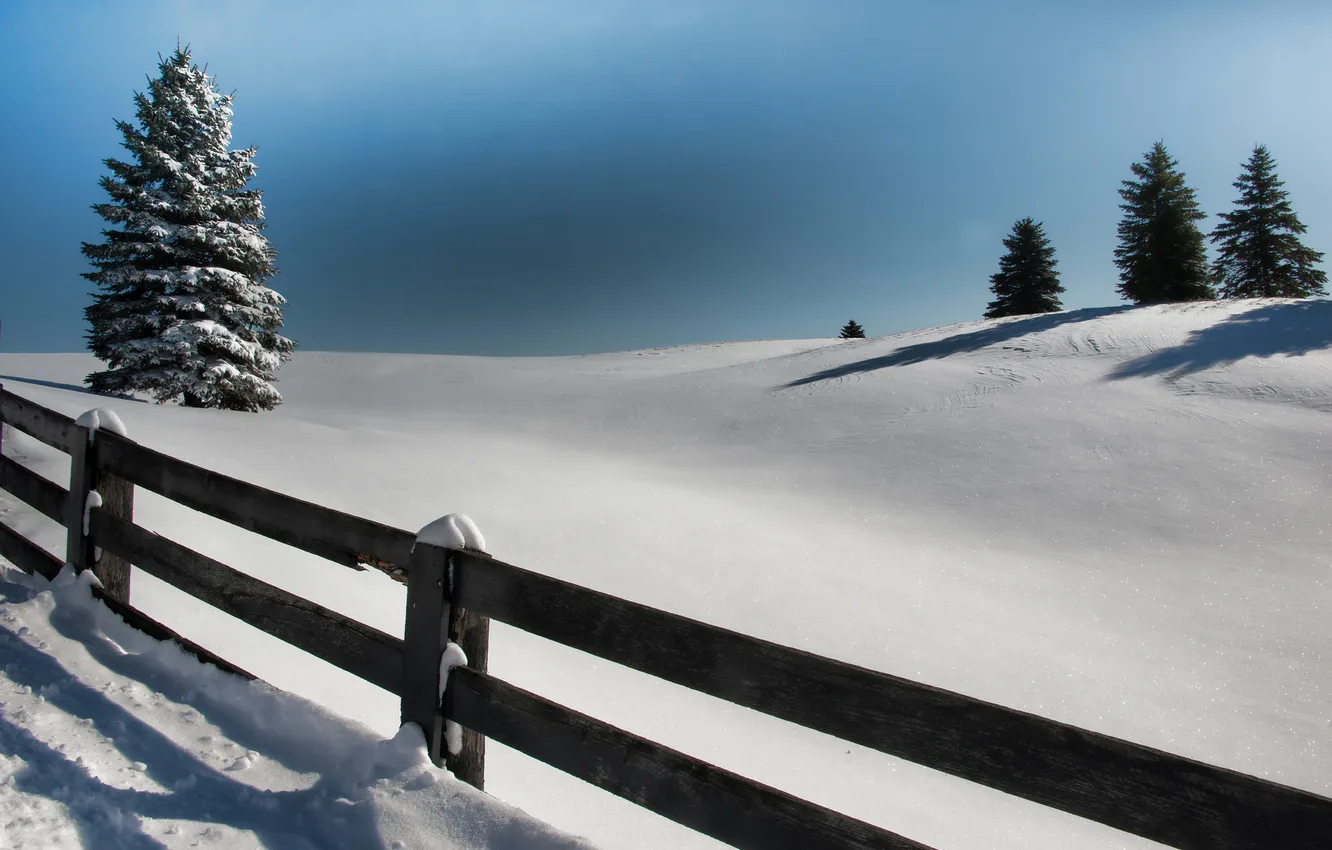 Фото обои зима, снег, дерево, доски, забор, ель