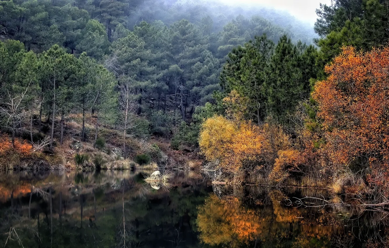 Фото обои осень, лес, пейзаж, природа, озеро