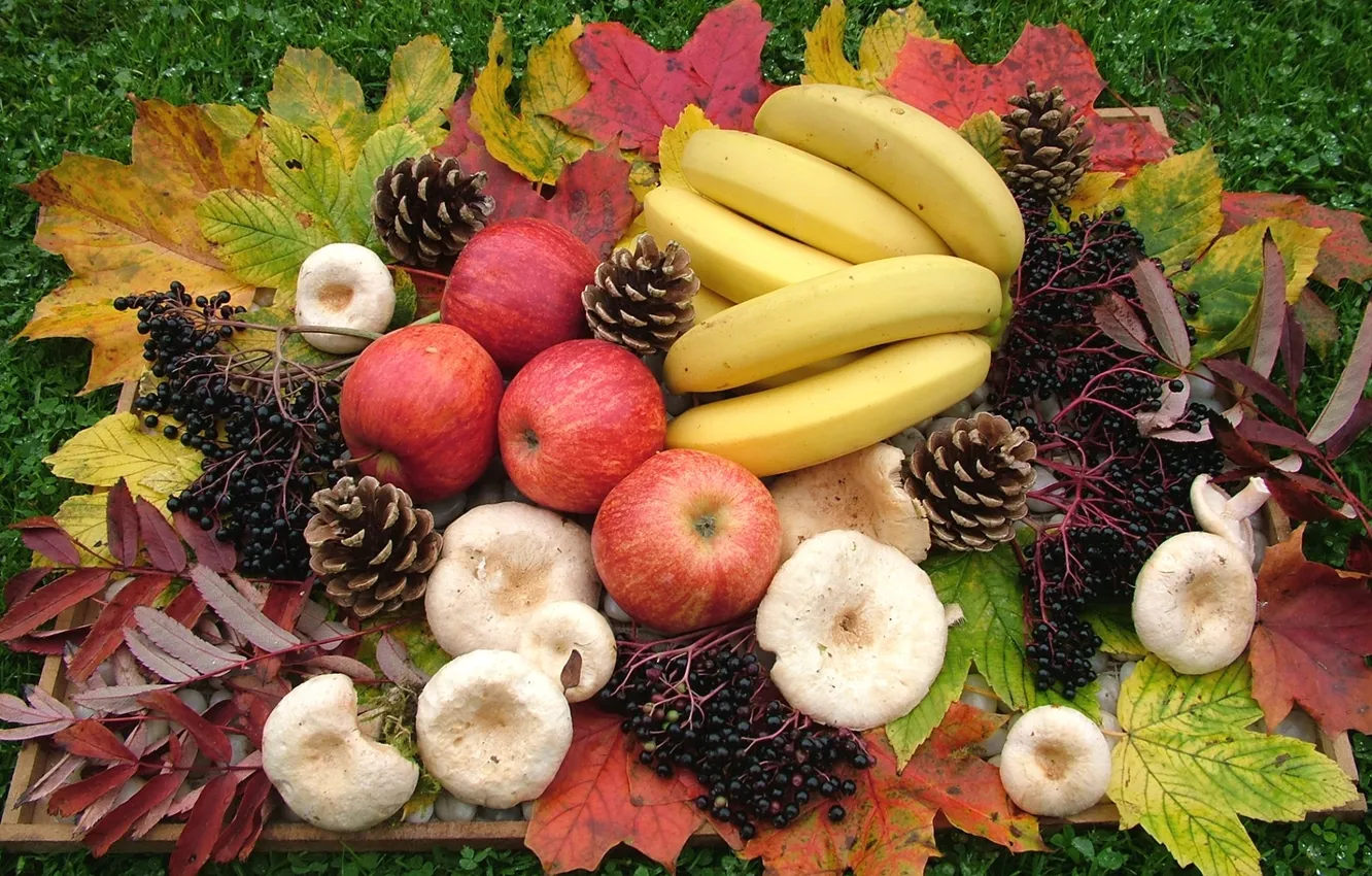 Фото обои листья, яблоки, грибы, бананы, шишки