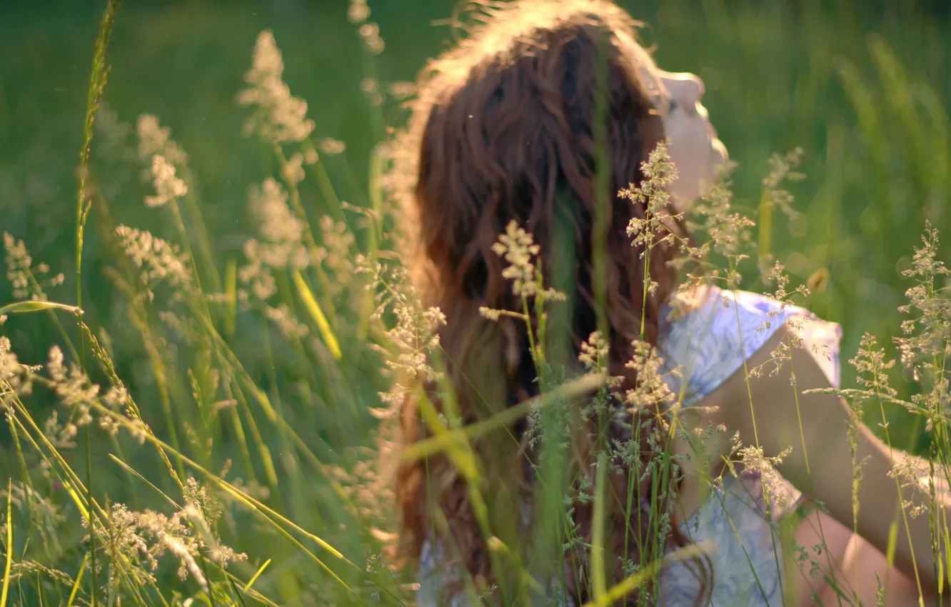 Фото обои зелень, трава, девушка, солнце, природа, фон, обои, настроения