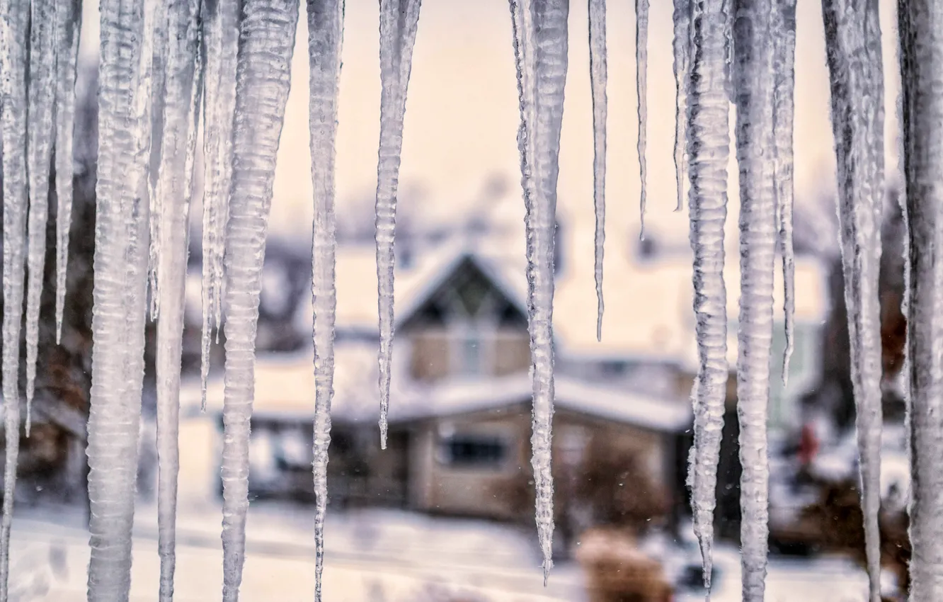 Фото обои лед, зима, стекло, макро, снег, природа, дом, лёд