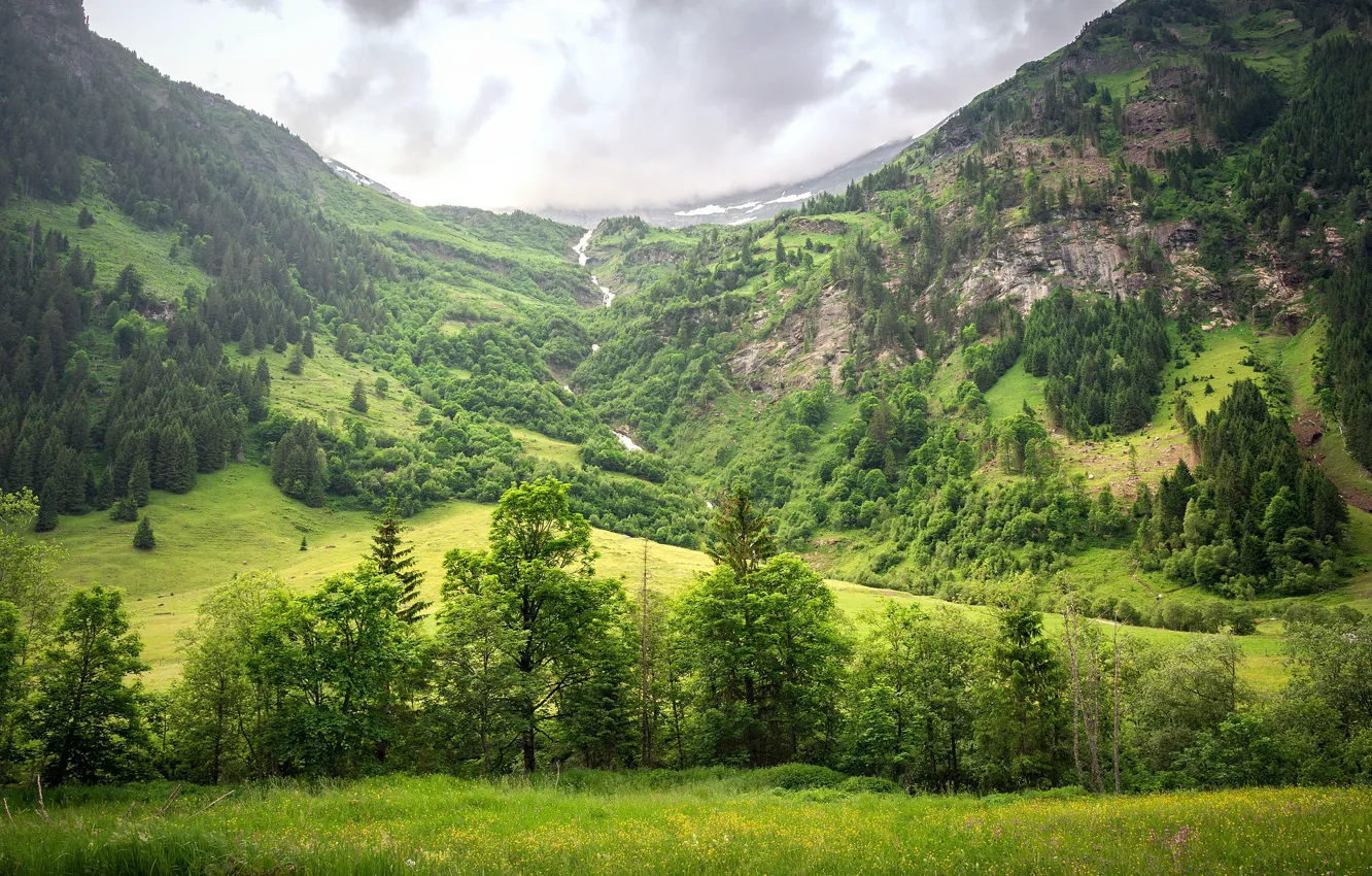 Фото обои лес, небо, горы, природа, Sven Lachmann